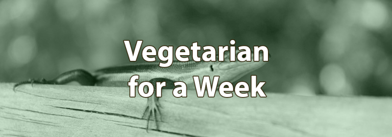 vegetarian for a week