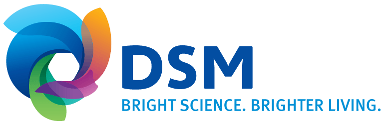 dsm-logo